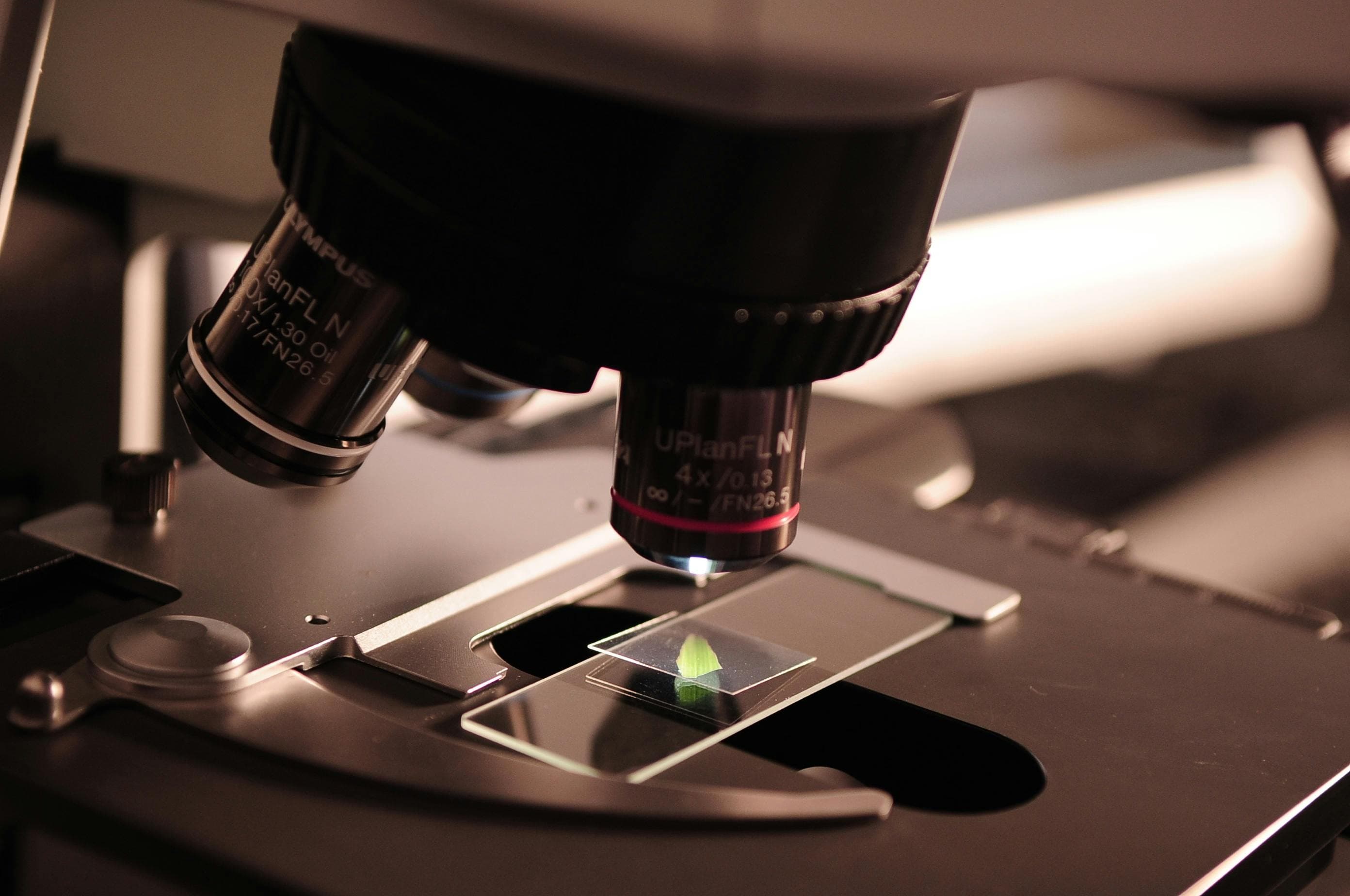 A microscope focused on a sample slide