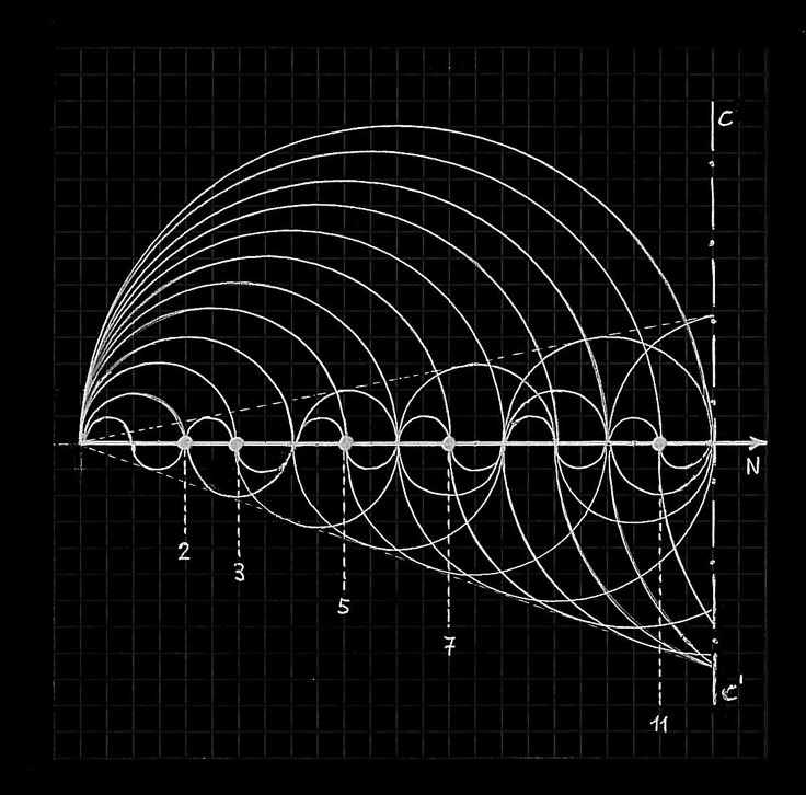 Geometric curves plotted on a mathematical grid